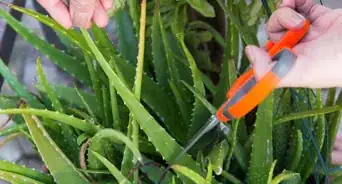 Get Your Hair from Dry to Smooth