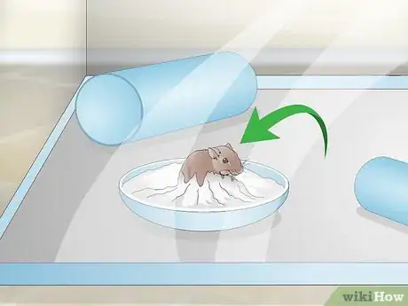Image titled Exercise Your Gerbil Step 9