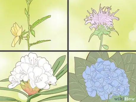 Image titled Create a Bee Friendly Garden Step 2