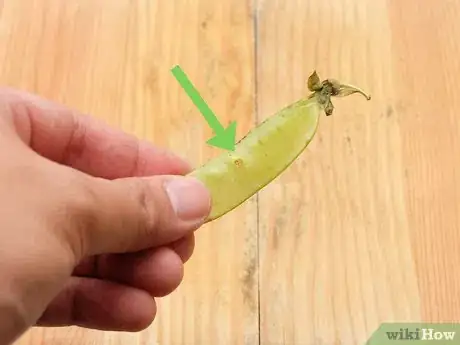Image titled Clean Snap Peas Step 3