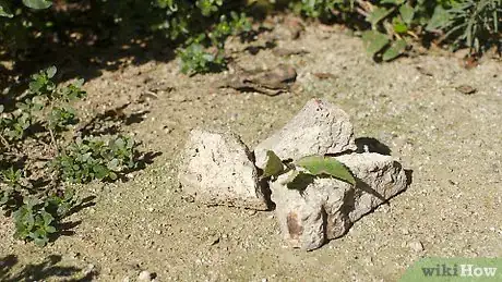 Image titled Create a Time Capsule Step 22