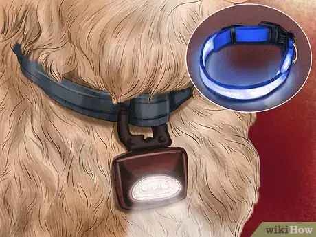 Image titled Walk Your Dog at Night Step 3