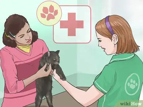 Image titled Prevent Marijuana Poisoning in Dogs and Cats Step 8