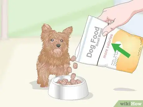 Image titled Pick the Best Dog Food Step 6
