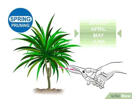 Image titled Prune Dracaena Step 01