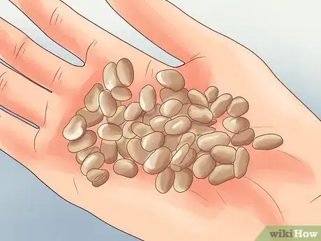 Image titled Understand the Differences Between Baby Formulas Step 3