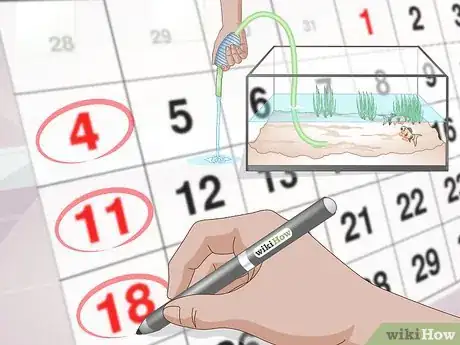 Image titled Do a Water Change in a Freshwater Aquarium Step 15