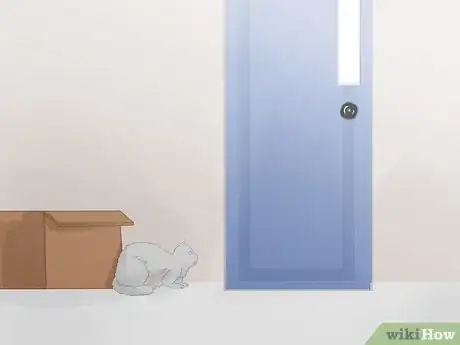 Image titled Handle a Stray Cat Step 20