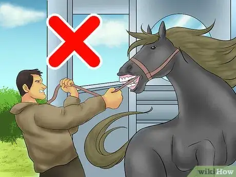 Image titled Load a Horse on a Trailer Step 11