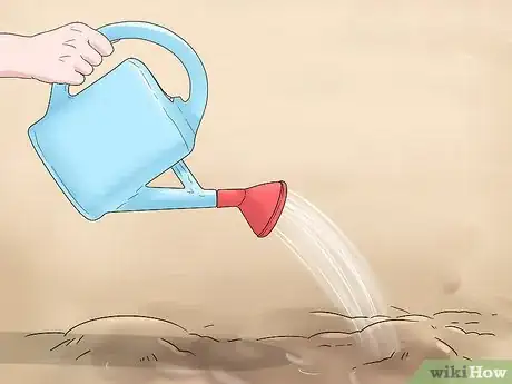 Image titled Make a Bulb Garden Step 21