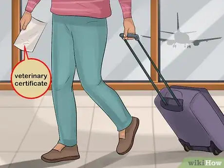 Image titled Travel Safely With Dogs Step 5