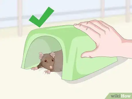 Image titled Provide Hiding Places for a Pet Rat Step 9