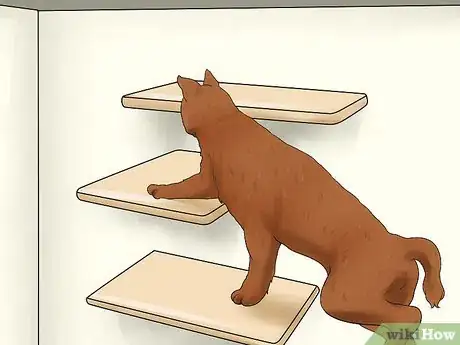 Image titled Care for a Havana Brown Cat Step 13