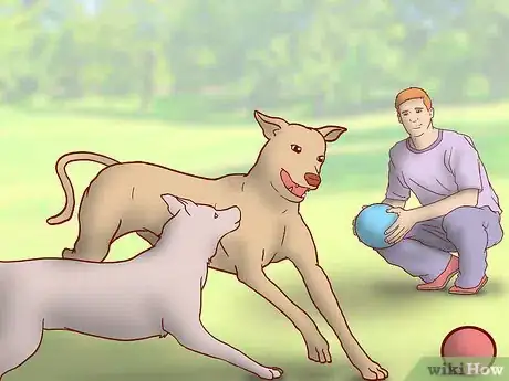 Image titled Evaluate Your Reasons for Wanting a Dog Step 11