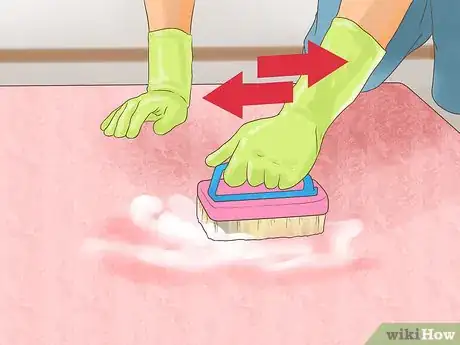 Image titled Get Dog Smell Out of a Basement Step 11