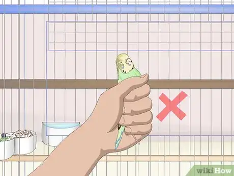 Image titled Own a Parakeet Step 16