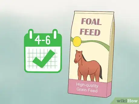 Image titled Care for a Foal Step 9
