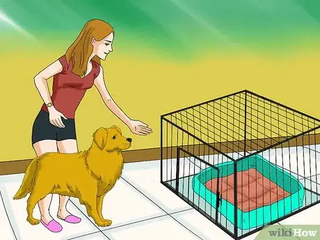 Image titled Kennel Train an Older Dog That Barks Step 5