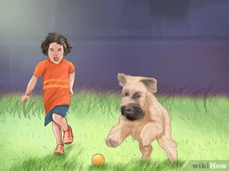 Image titled Keep Toy Breed Dogs Safe Around Kids Step 6