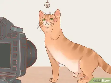 Image titled Photograph Cats Step 15