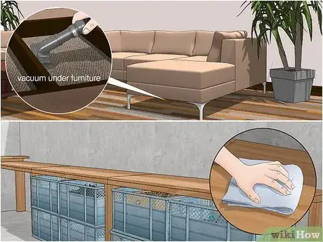 Image titled Keep Hobo Spiders Out of the House Step 8