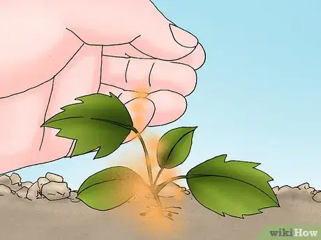 Image titled Grow Deadly Monkshood Step 8