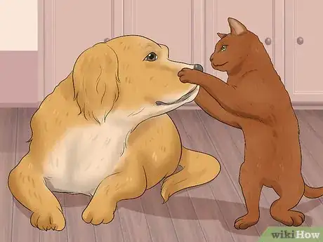 Image titled Care for a Havana Brown Cat Step 12