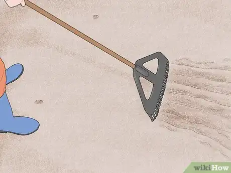 Image titled Rake Manilla Clams or Steamer Clams Step 5