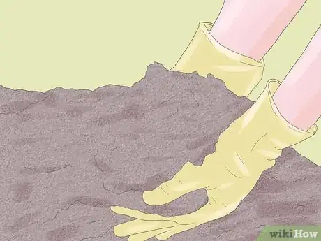Image titled Grow Hydrangeas Step 4