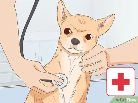 Image titled Tell if a Dog Is Pregnant Step 11
