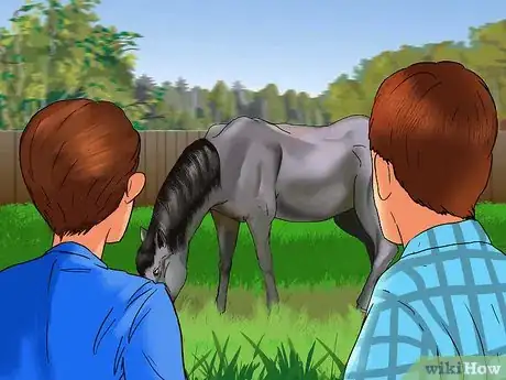 Image titled Buy a Trail Horse Step 11