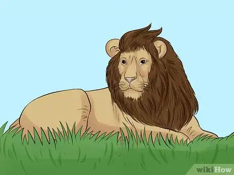 Image titled Book a Great Safari on a Budget Step 1