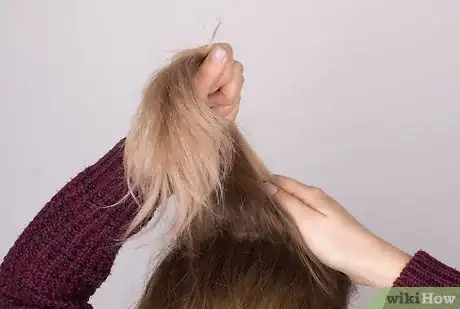 Image titled Create a Textured Ponytail Step 19
