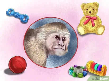 Image titled Quiet a Capuchin Monkey Step 4