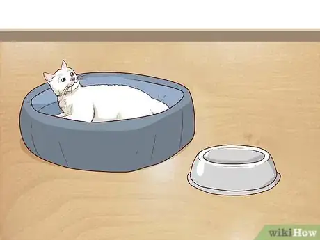 Image titled Train a Cat to Stop Fearing Sudden Movements Step 11