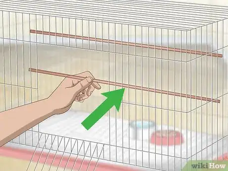 Image titled House a Canary Step 12