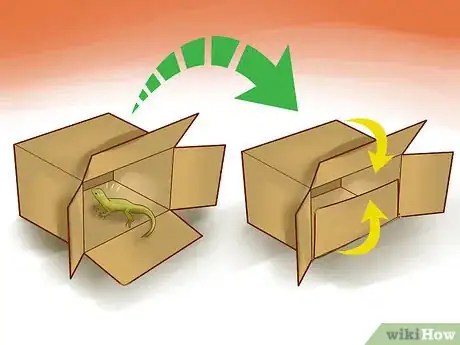 Image titled Catch a Lizard in the House Step 10