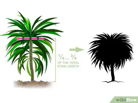 Image titled Prune Dracaena Step 08