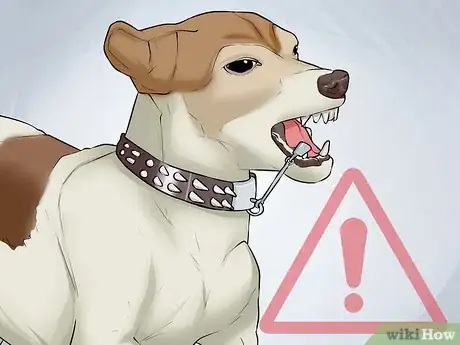 Image titled Buy Bling for a Dog Step 9