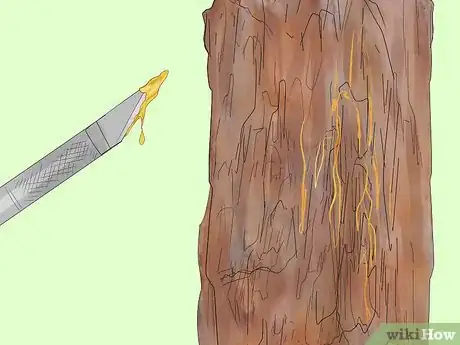 Image titled Make a Trap Step 17