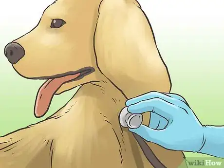 Image titled Move to Mexico Step 22