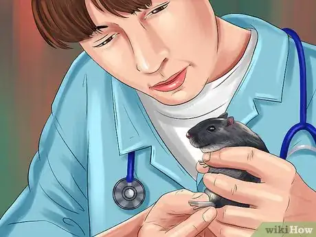Image titled Treat Gerbils Prone to Seizure Step 4