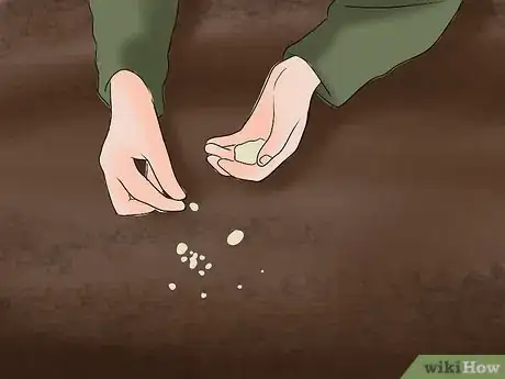 Image titled Hunt Blackbirds Step 1