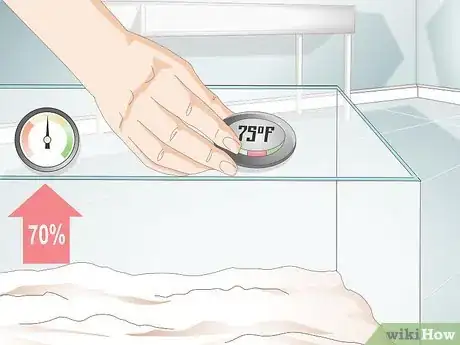 Image titled Buy a Pet Hermit Crab Step 10