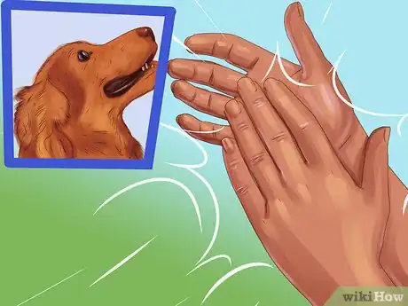 Image titled Get a Dog Out of a Busy Road Step 3