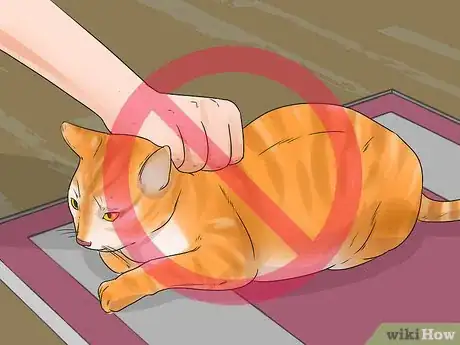 Image titled Help Your Cat Enjoy Having a Bath Step 9