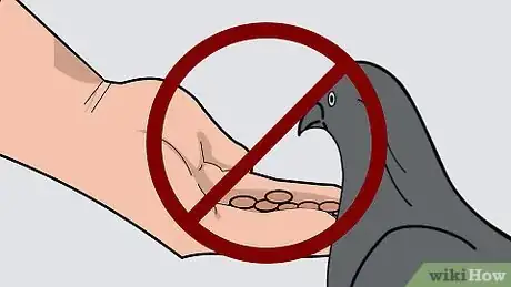Image titled Get Rid of Pigeons Step 4