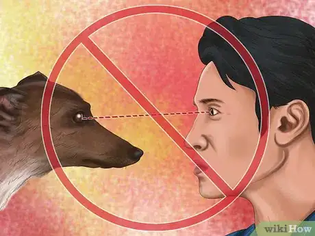 Image titled Approach an Unfamiliar Dog Step 13