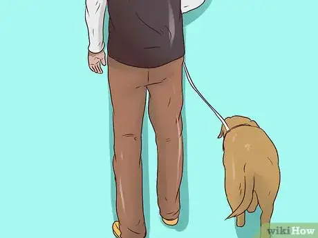 Image titled Use a Halter Collar on a Dog Step 6