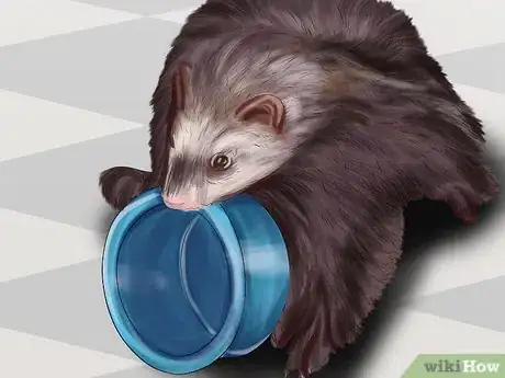 Image titled Prevent Heartworm in Ferrets Step 1